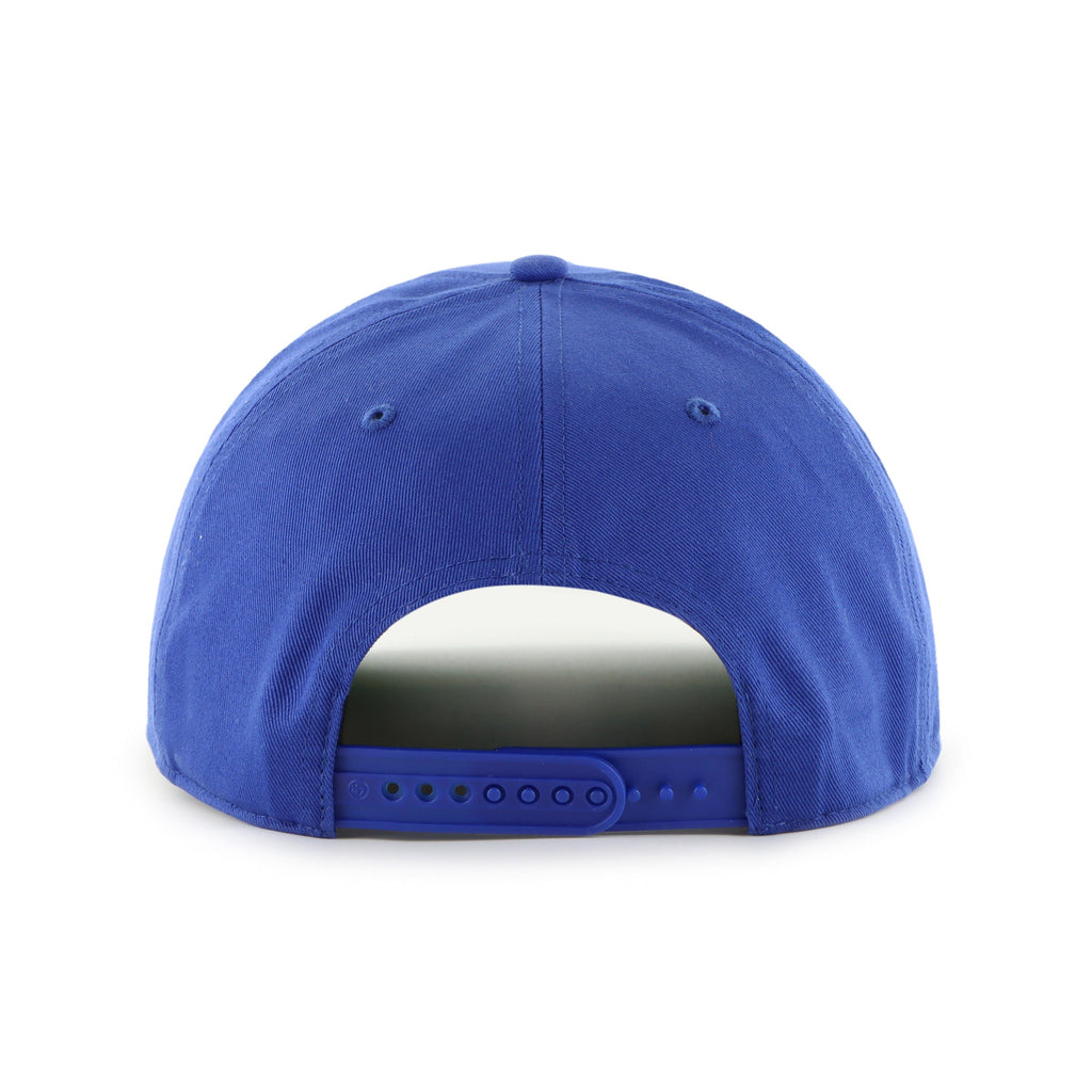 Florida Gators NCAA 47 Brand Men's Royal Break Wood Suede Hitch Snapback Hat